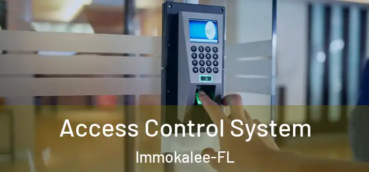 Access Control System Immokalee-FL