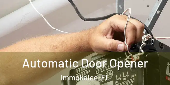 Automatic Door Opener Immokalee-FL