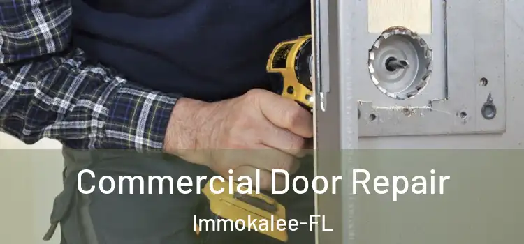  Commercial Door Repair Immokalee-FL