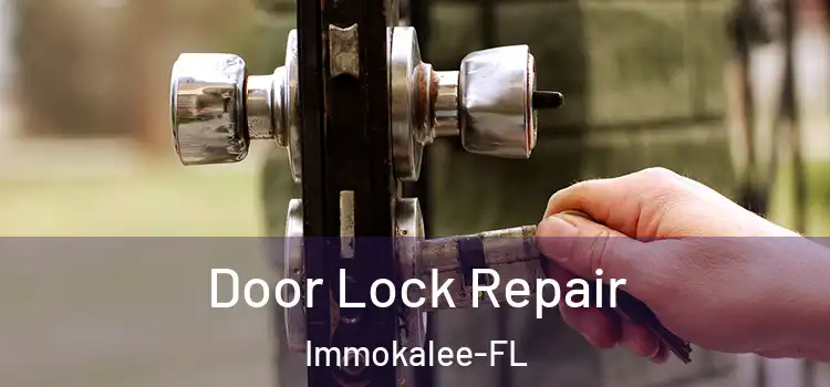 Door Lock Repair Immokalee-FL