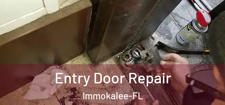  Entry Door Repair Immokalee-FL