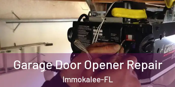  Garage Door Opener Repair Immokalee-FL