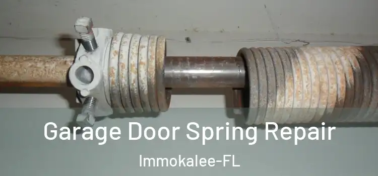  Garage Door Spring Repair Immokalee-FL