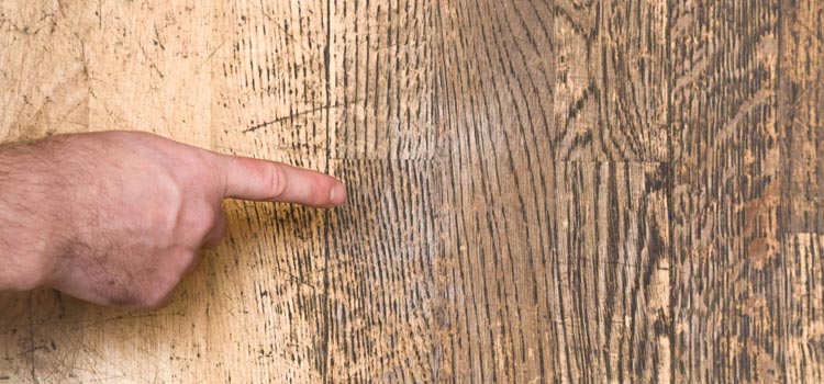 Wood Door Scratch Repair in Immokalee