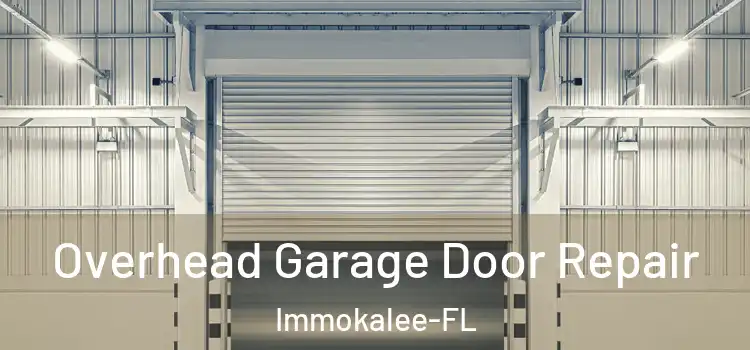  Overhead Garage Door Repair Immokalee-FL