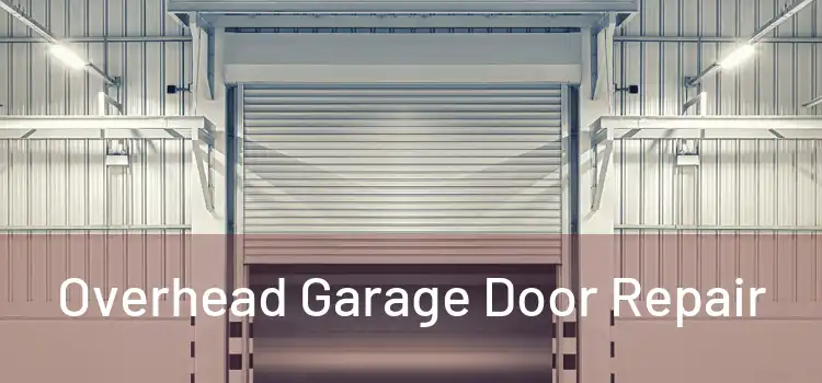  Overhead Garage Door Repair 