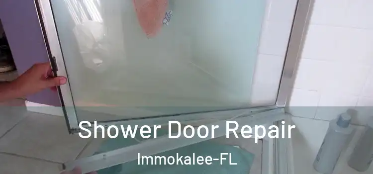  Shower Door Repair Immokalee-FL