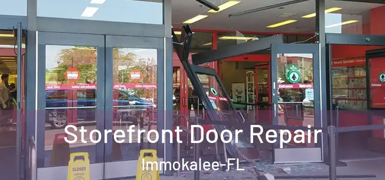  Storefront Door Repair Immokalee-FL